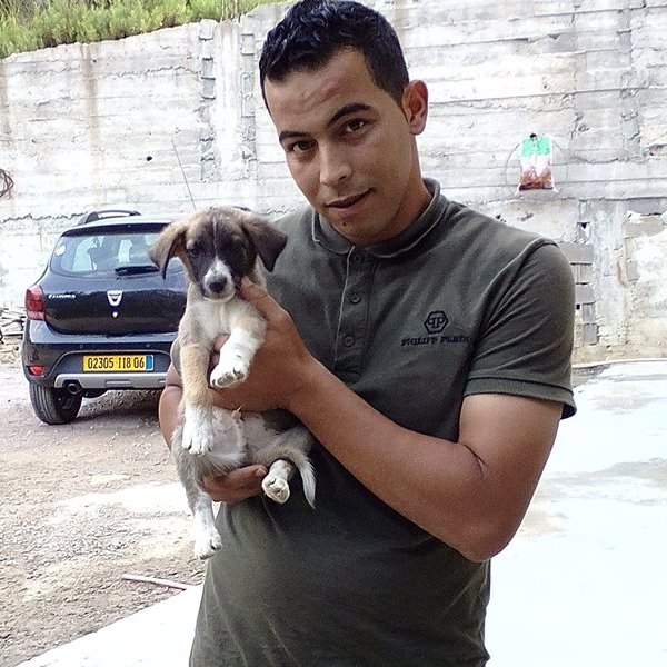 Мужчины из алжира