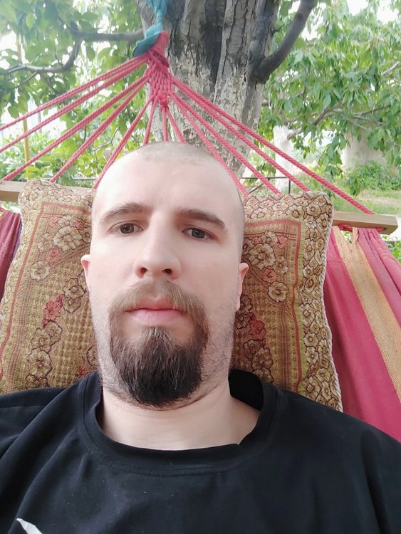 Вилков фамилия. Вилков фамилия. Фамилия вилков. Фамилия вилков. Вилков фамилия.