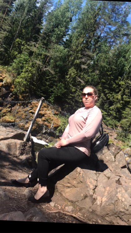 ростов сегежа