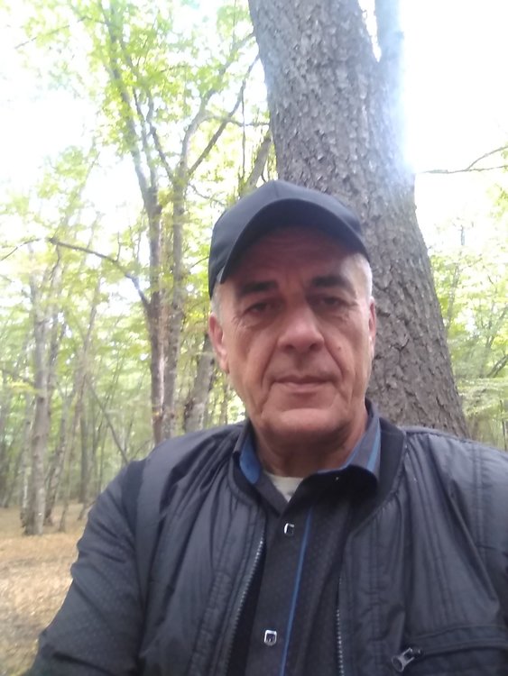 Сеферов бекир джелялович