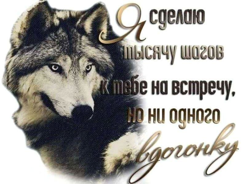 Готова создавать. СТО шагов навстречу но ни одного вдогонку. Я сделаю шаг навстречу но ни одного вдогонку. Я сделаю 1000 шагов навстречу но ни одного вдогонку. Я сделаю 1000 шагов навстречу но ни одного вдогонку картинки.